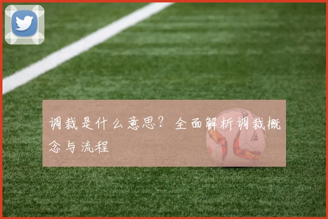 调裁是什么意思？全面解析调裁概念与流程