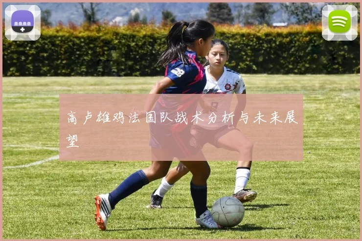 高卢雄鸡法国队战术分析与未来展望