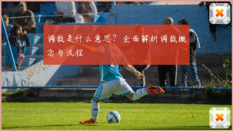 调裁是什么意思？全面解析调裁概念与流程