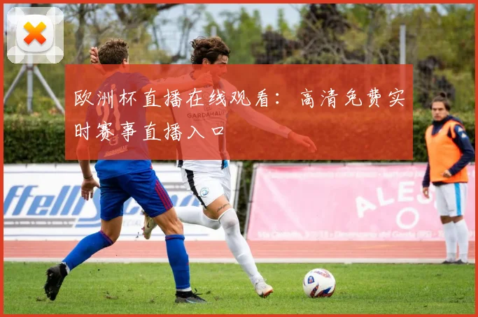 欧洲杯直播在线观看：高清免费实时赛事直播入口