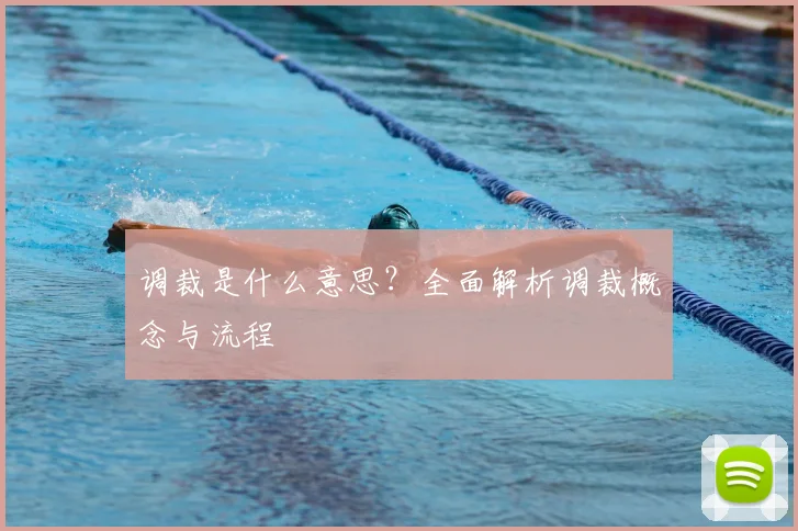 调裁是什么意思？全面解析调裁概念与流程
